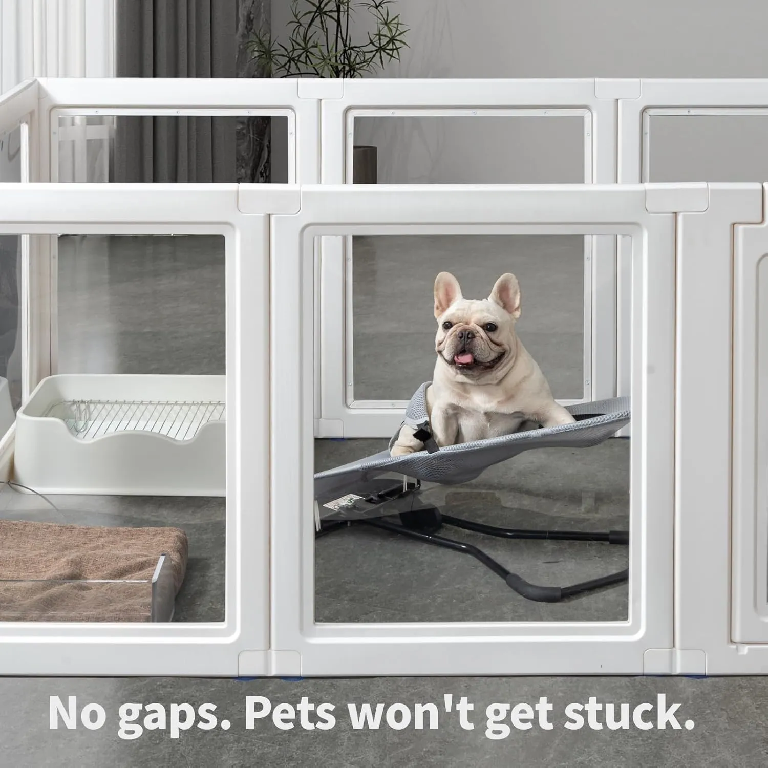 ,,, WhiteDog ,35.4 ( 89.9 ),8 