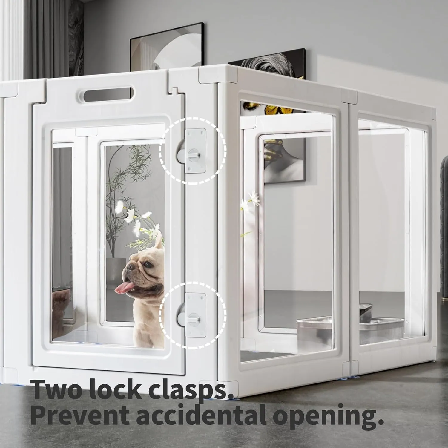 ,,, WhiteDog ,35.4 ( 89.9 ),8 