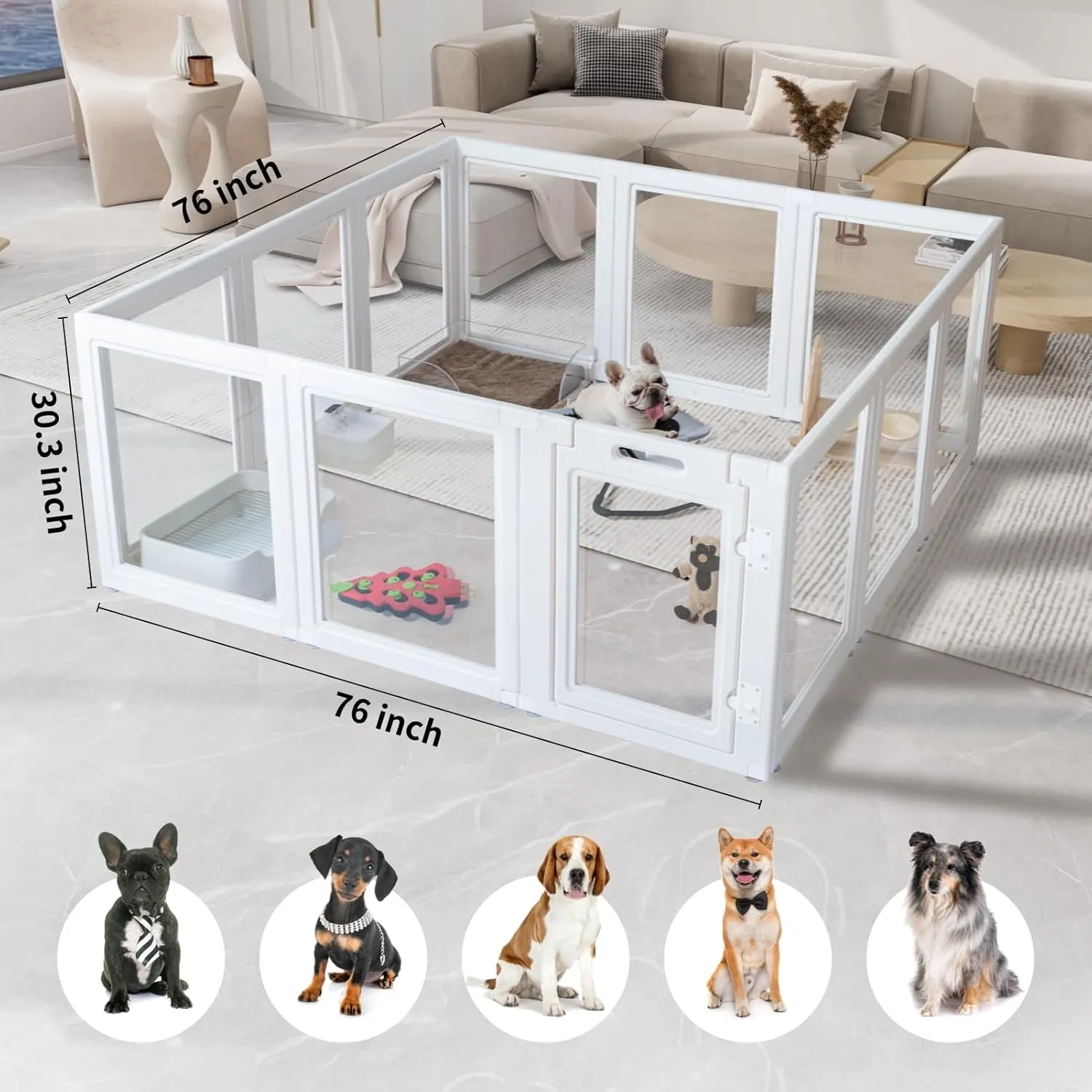 ,,, WhiteDog ,35.4 ( 89.9 ),8 