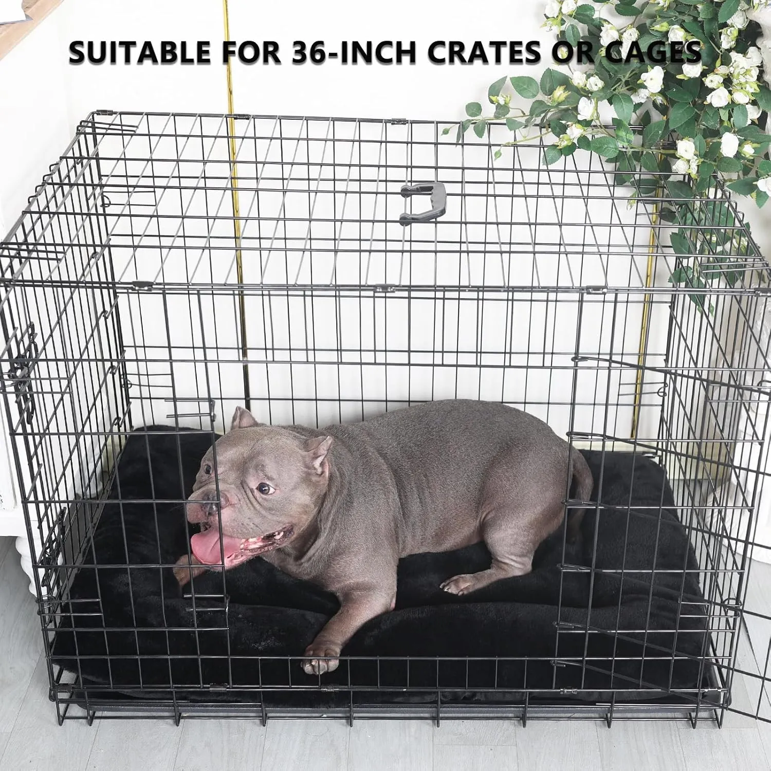 36x23 Dog Crate Bed Black for Medium Large Dogs Washable,Dog Bed for Crate 36 Inch Fits Dogs Breeds Up to 55 Lbs,Ultra Soft Pet Mattress Pad for Cozy Sleeping Mat with Anti-Slip Bottom