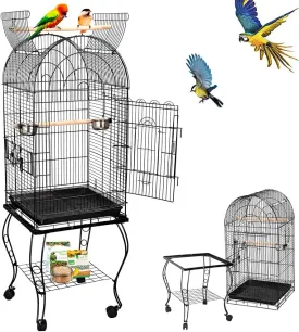 63.5 Inches Medium Bird Cage Open Top Parrot Cage with Detachable Stand, Rolling Wheels Lovebird Cockatiel Quaker Sun Parakeet Green-Cheek Conure Cage