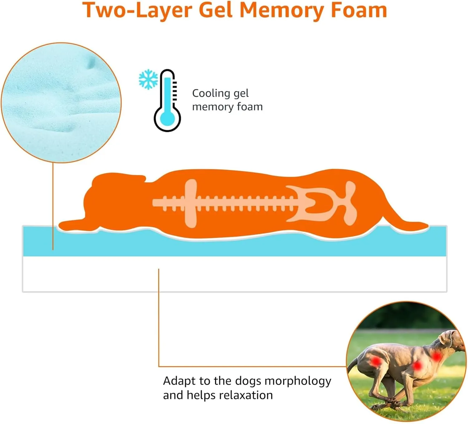 Amazon Basics Orthopedic Dog Bed for dogs up to 120lbs, Cooling Gel Memory Foam, Non-Slip bottom with Machine Washable Removable Cover, 50" X 34" X 5", Grey