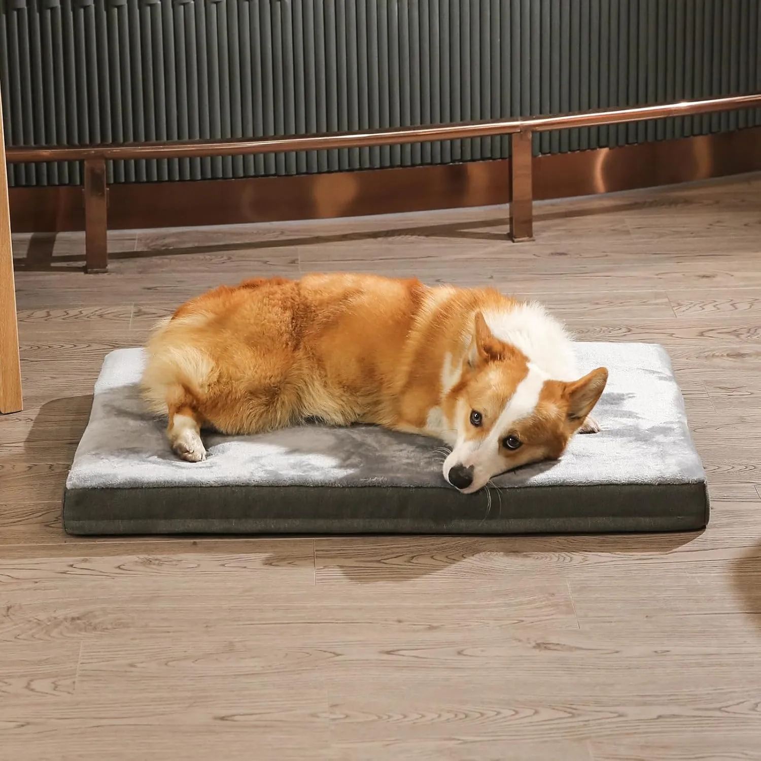 Amazon Basics Orthopedic Dog Bed for dogs up to 120lbs, Cooling Gel Memory Foam, Non-Slip bottom with Machine Washable Removable Cover, 50" X 34" X 5", Grey