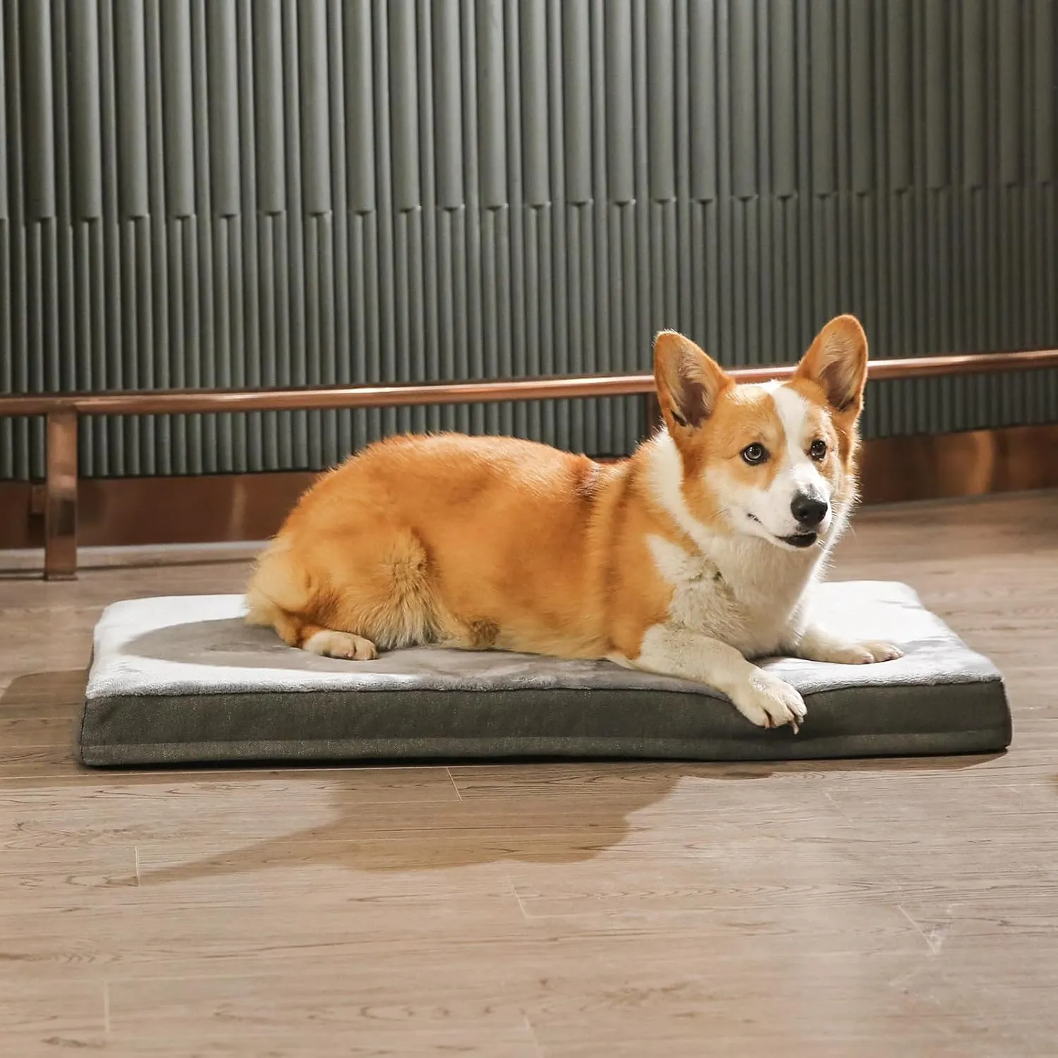 Amazon Basics Orthopedic Dog Bed for dogs up to 120lbs, Cooling Gel Memory Foam, Non-Slip bottom with Machine Washable Removable Cover, 50" X 34" X 5", Grey