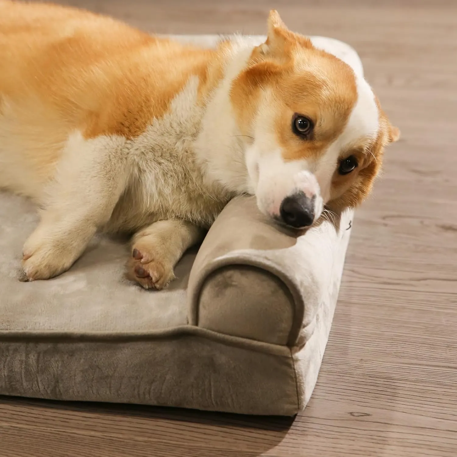 Amazon Basics Orthopedic Dog Bed for Dogs up to 55lbs, Cooling Gel Memory Foam, Non-Slip Bottom with Machine Washable Removable Cover, 36" X 27" X 6.5", Brown