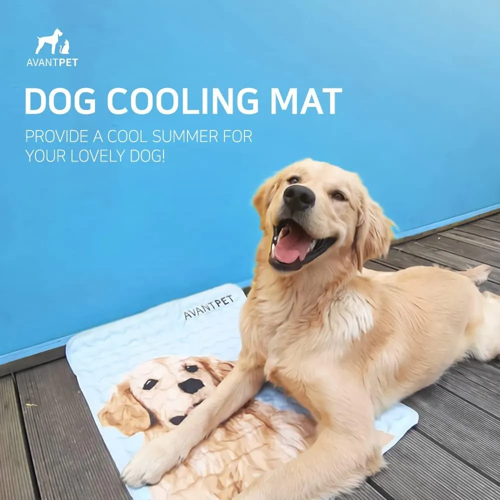 AVANTPET Cool Gel Reversible Comfortable Pet Cooling mat for Cats and Dogs, Pressure Activated, Non-Toxic Gel, Easy to Clean, Water Proof (Small, Blue)