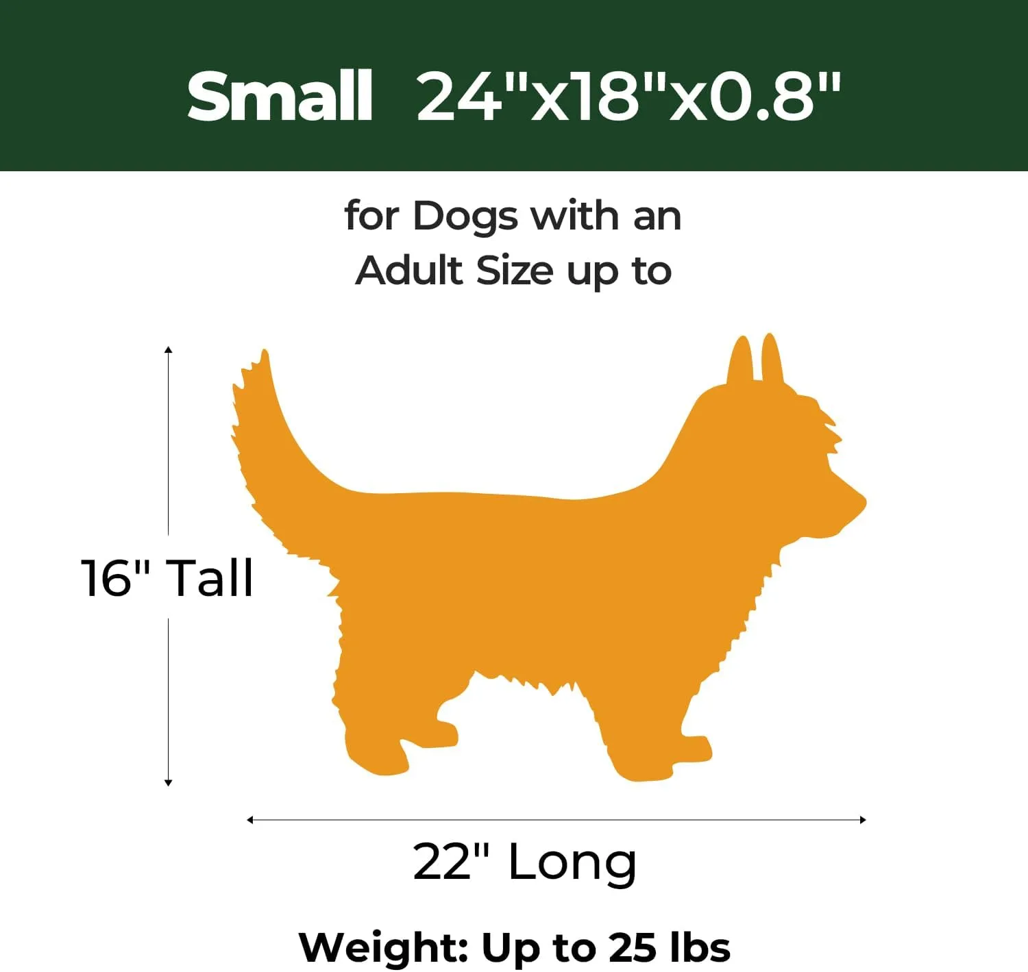 BALANCE Dog Crate Pad, Dog Foam Crate Mat Kennel Pad, Washable Water-Resistant Pet Bed Flat Dogs Cage Mat for Small Dogs