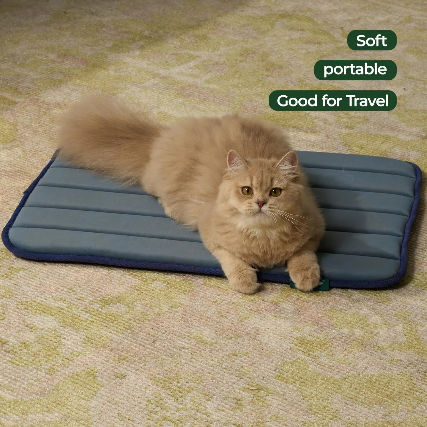 BALANCE Dog Crate Pad, Dog Foam Crate Mat Kennel Pad, Washable Water-Resistant Pet Bed Flat Dogs Cage Mat for Small Dogs