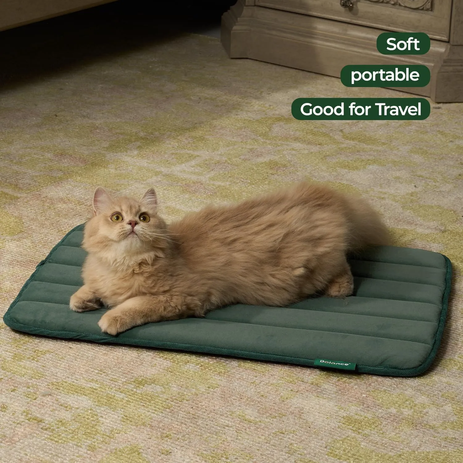 BALANCE Dog Crate Pad, Dog Foam Crate Mat Kennel Pad, Washable Water-Resistant Pet Bed Flat Dogs Cage Mat for Small Dogs