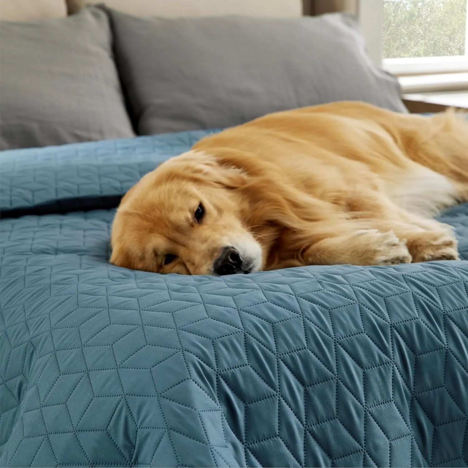 Bedsure 100% Waterproof Couch Cover for Dogs Washable - Non Slip Waterproof Blanket Large for Bed Sofa, Lightweight Furniture Protector Durable for Pet Cat Puppy with Non-Slip Bottom, Blue, 52x82IN