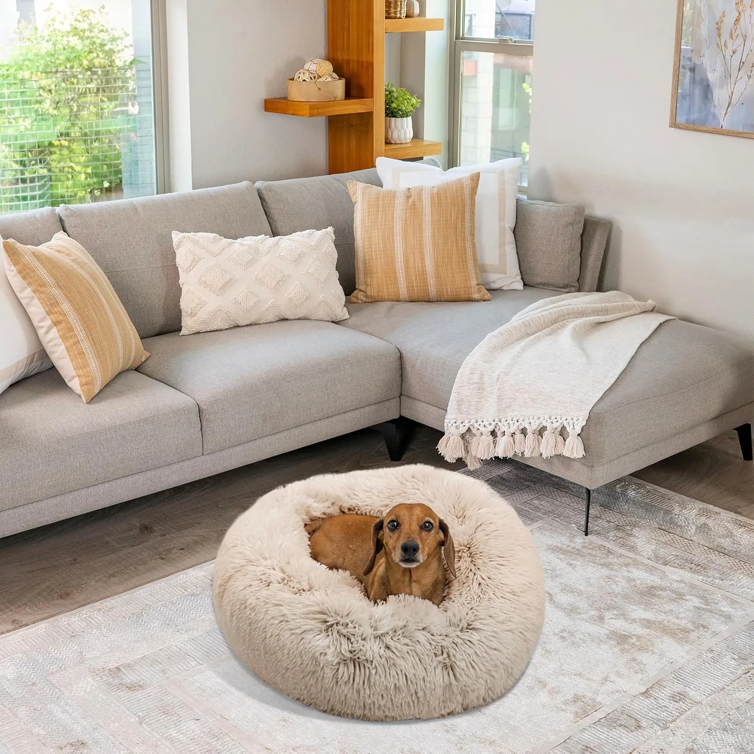 Best Friends by Sheri Original Calming Donut Dog and Cat Bed, Shag Faux Fur, Taupe, Small (23x23) - Helps Provide Anxiety Relief for Pets