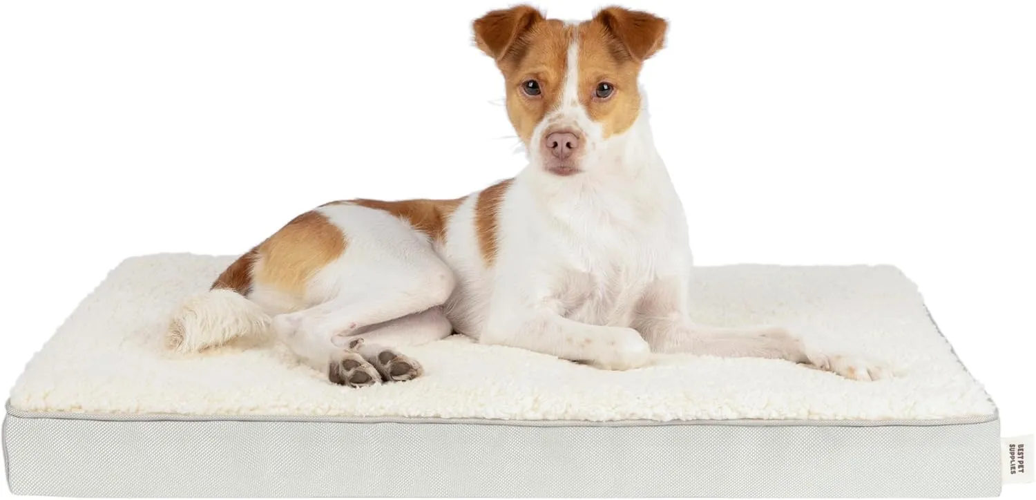 Best Pet Supplies Cute Dog Bed Mat Flat Mattress with Waterproof Exterior, Thick Orthopedic Egg Foam Fill, and Soft Sherpa Fleece Cover for Small, Medium, and Large Breeds - Beige, 24X16X3