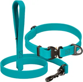 Biothane Bundle: 6 Ft Dog Leash and 3/4' Dog Collar with Cobra Buckle and QR Dog Tag ID