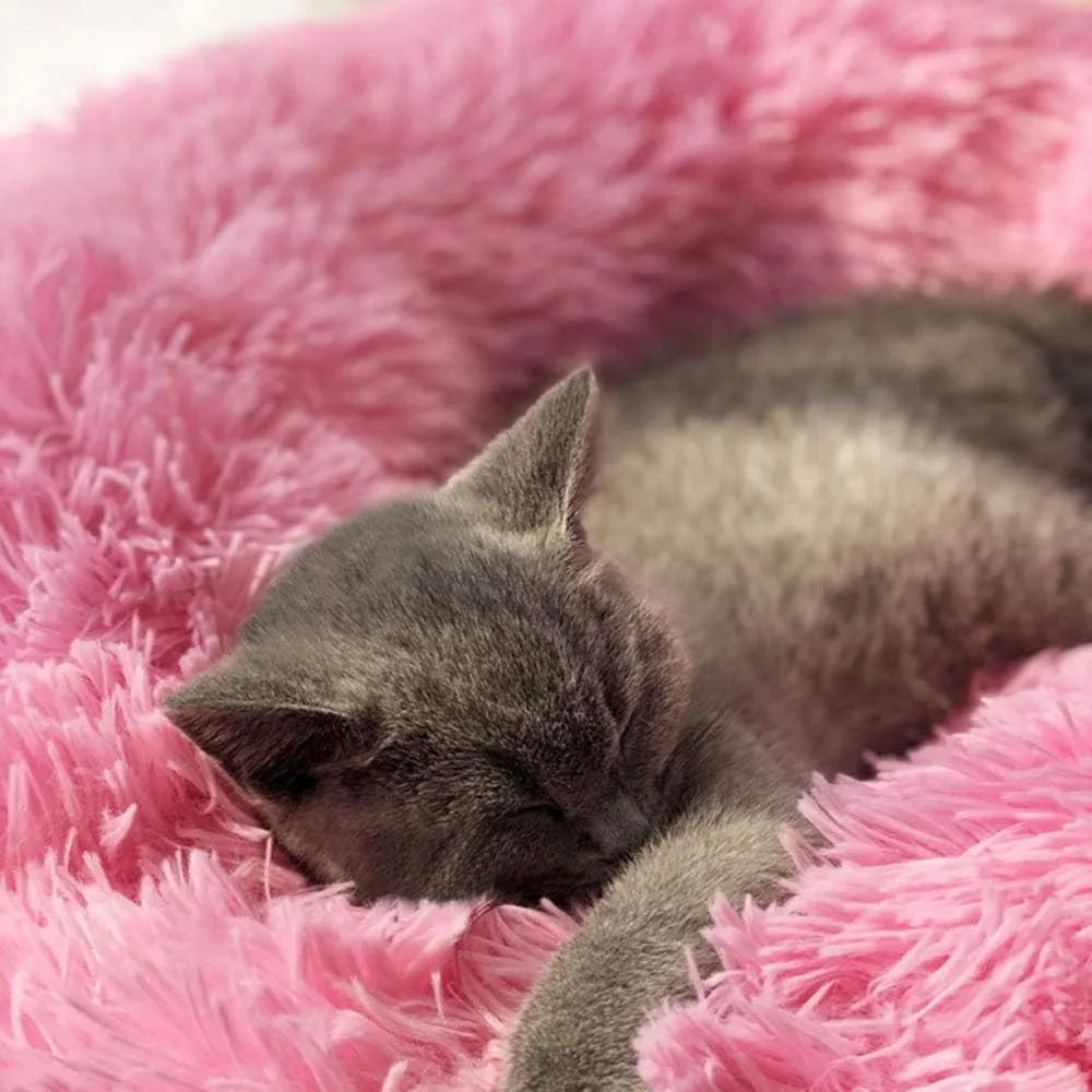 BODISEINT Modern Soft Plush Round Pet Bed for Cats or Small Dogs, Mini Medium Sized Dog Cat Bed Self Warming Autumn Winter Indoor Snooze Sleeping Cozy Kitty Teddy Kennel (20'' D x 8'' H, Hot Pink)