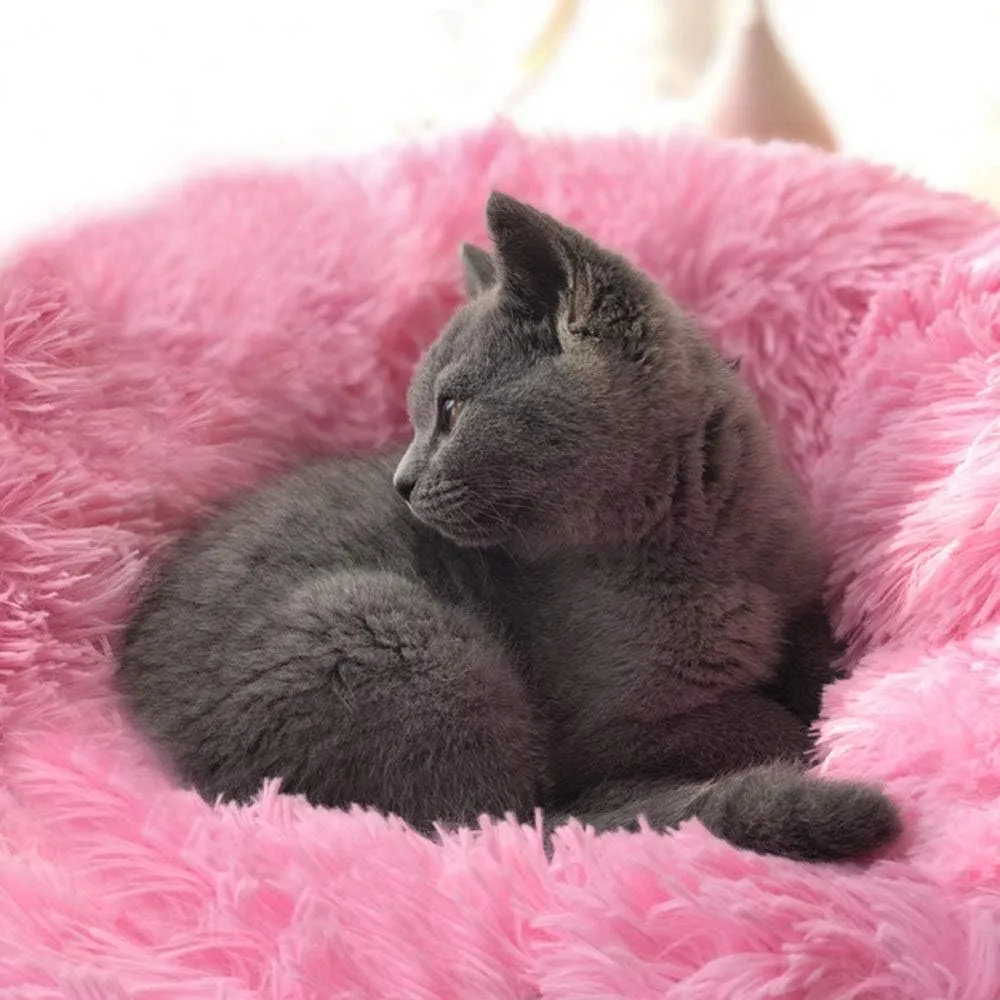 BODISEINT Modern Soft Plush Round Pet Bed for Cats or Small Dogs, Mini Medium Sized Dog Cat Bed Self Warming Autumn Winter Indoor Snooze Sleeping Cozy Kitty Teddy Kennel (20'' D x 8'' H, Hot Pink)