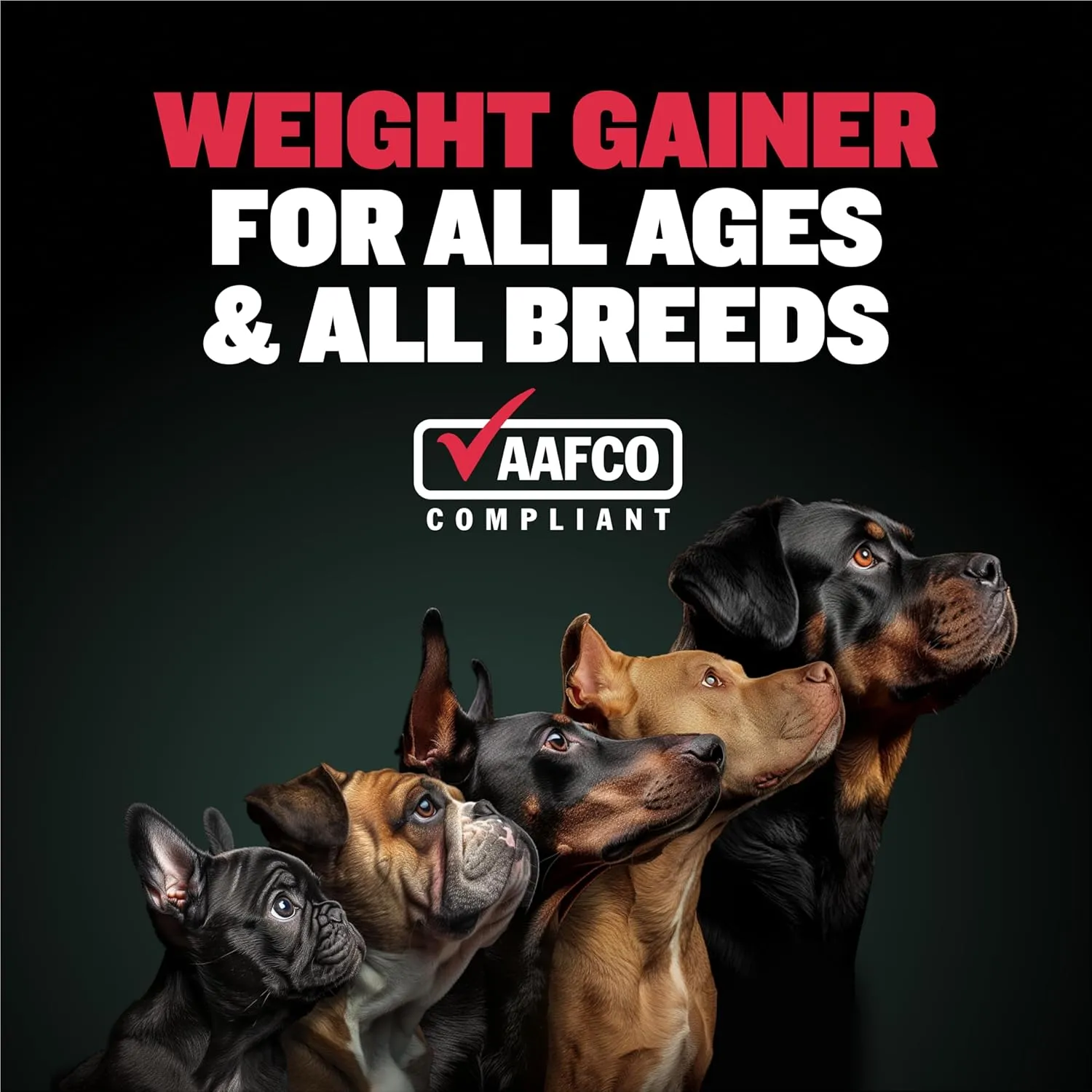 Bully Max Dog Weight Gainer - High Calorie Treats for Puppies and Adults - Dog Food Performance Supplement for Healthy Weight Gain & Immunity, 75 Soft Chews for Small, Medium & Large Breed - 300g