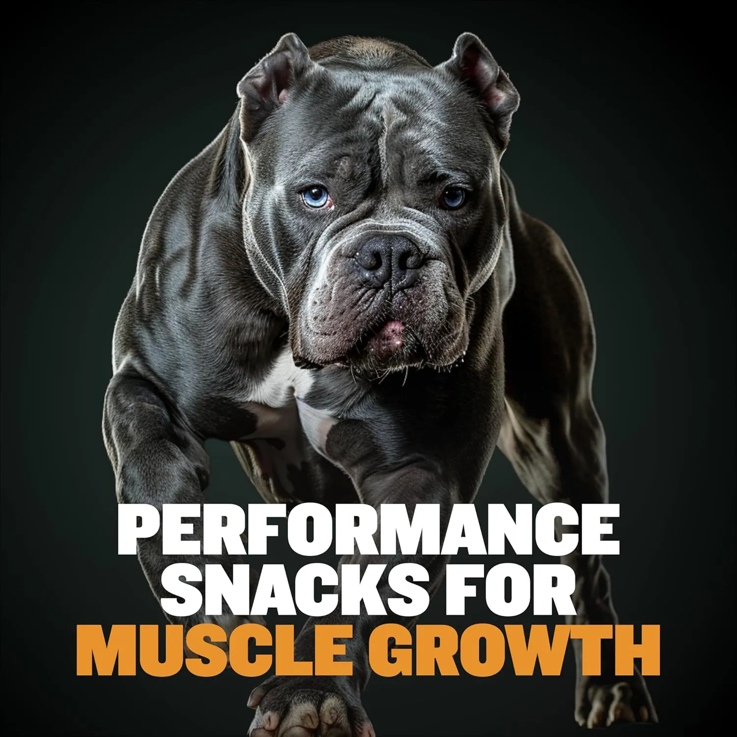 Bully Max Premium High Protein Dog Treats for Puppy & Adult Dogs - Training Dog Food Treats with 40% Protein, Real Meat, Veggies & BCAAs for Small, Medium & Large Breeds, Chicken Flavor, 400g Bag