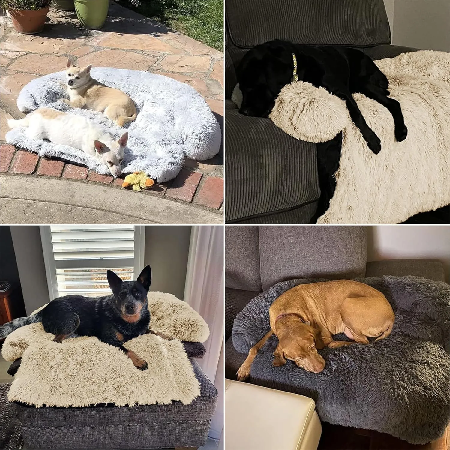 Calming Dog Bed Fluffy Plush Dog Mat for Furniture Protector with Removable Washable Cover for Large Medium Small Dogs and Cats (Large, Beige)