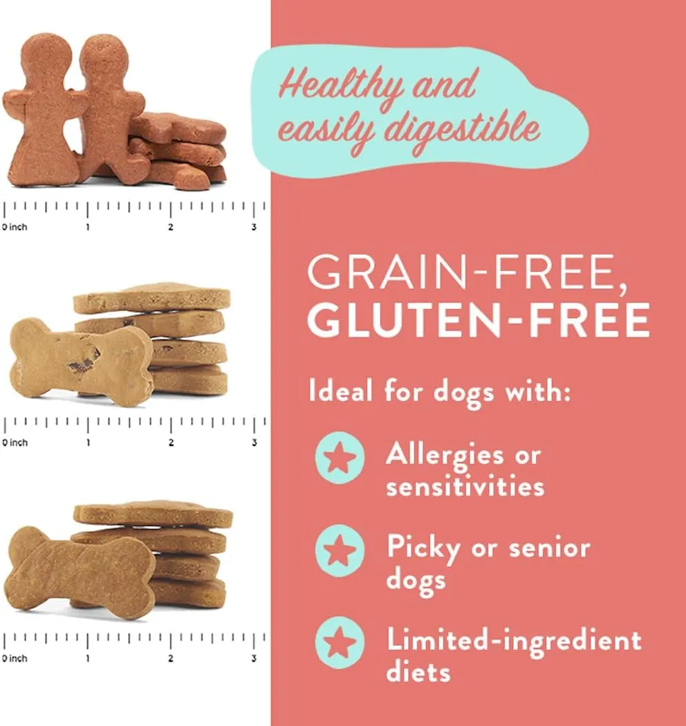 CRAFTED BY HUMANS LOVED BY DOGS Portland Pet Food Company Pumpkin Healthy Dog Treats - Grain-Free, Human-Grade, All Natural Dog Training Treats & Biscuits Made in The USA Only 1-Pack (5 oz)