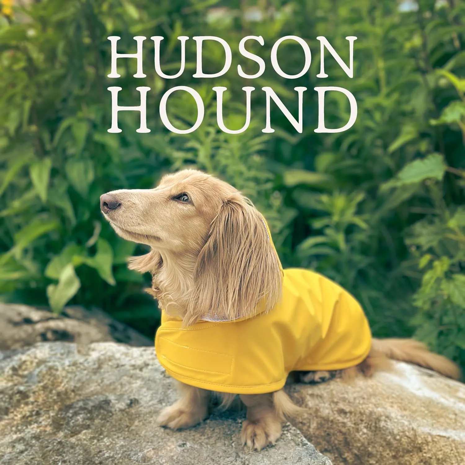Dachshund Raincoat, Long Dog Coat, Sausage Dog Rain Jacket, Doxie Rain Jacket (Small, Classic Yellow)