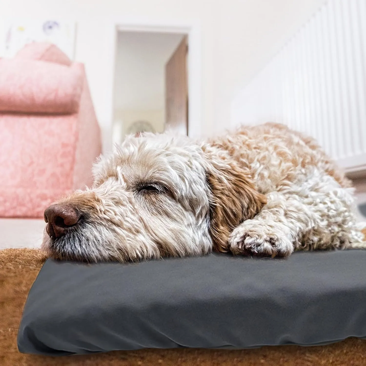 Dog Bed Cover Waterproof Replacement Machine Washable Covers for Dog Bed Heavy Duty Scratch Resistant Mattress Protector Pet Bed 41x27 Inch Cover Only