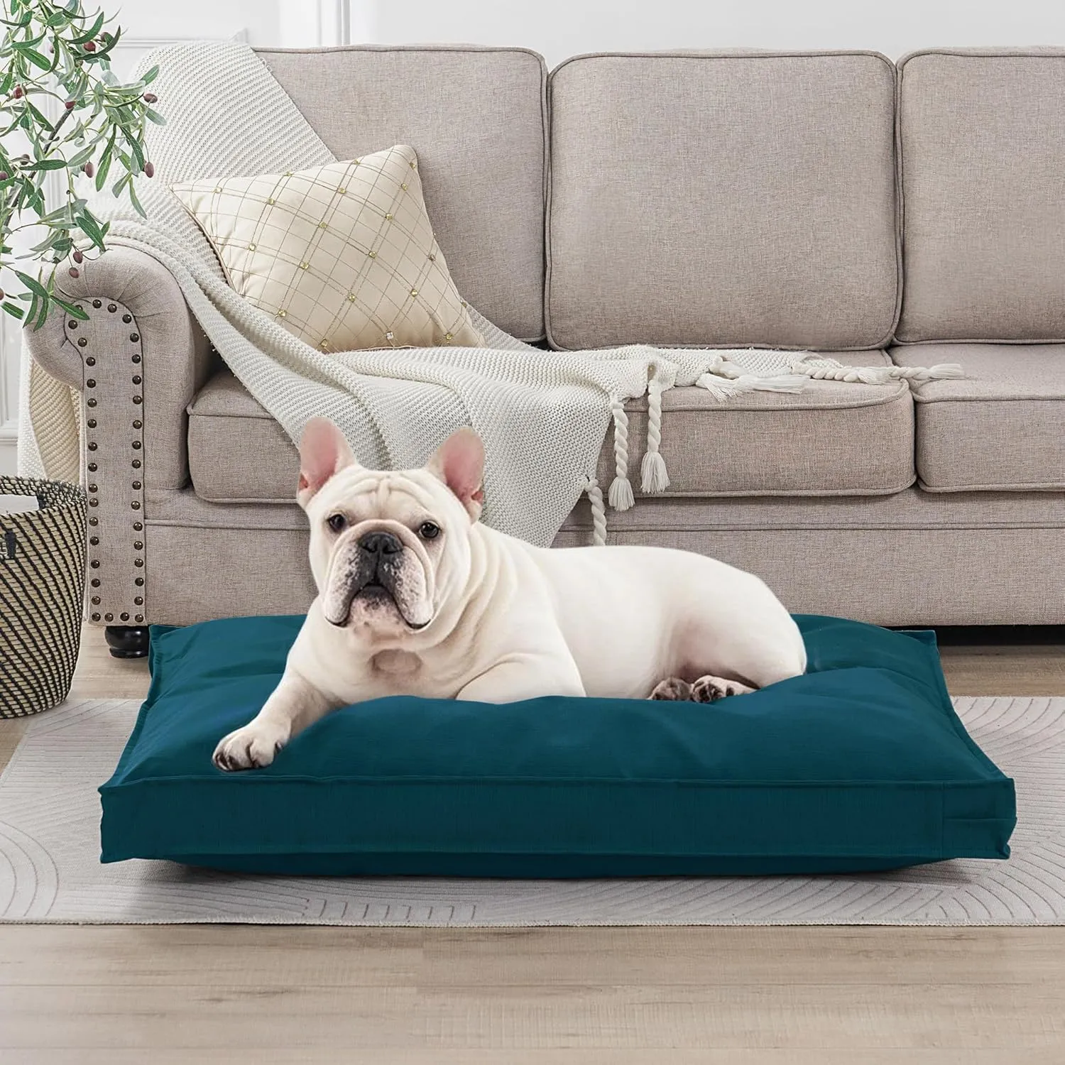 Dog Bed Covers Replacement Washable, Waterproof Dog Bed Cover with Zipper, 30Lx20Wx3H inch Durable Oxford Pet Bed Cover for Outdoor/Indoor Use, Cover Only, Cyan