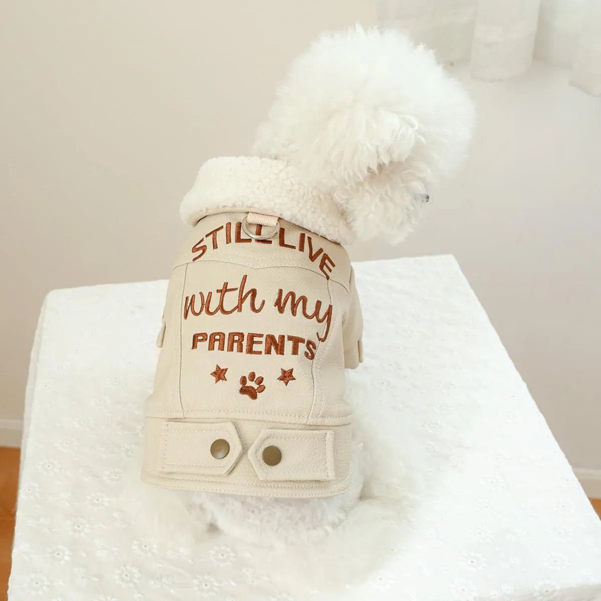 Dog Fleece Lined Jean Jacket Winter Puppy Stylish Cute Clothes Lightweight Warm Small Dog Denim Coat Chihuahua Yorkie Thick Jacket Christmas Holiday Birthday Dog Clothes for Small Dogs