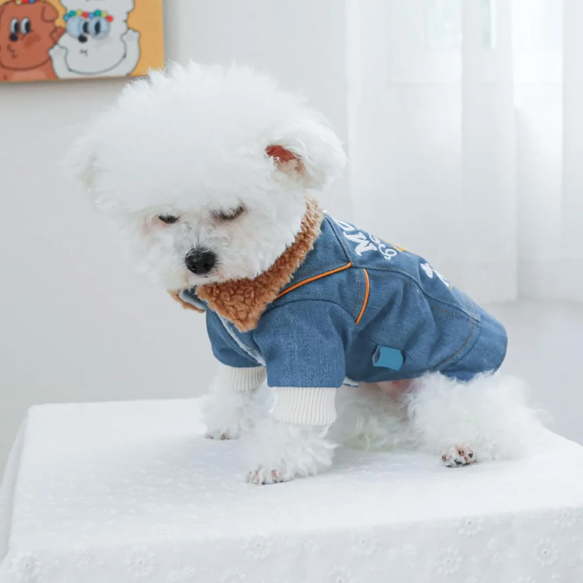 Dog Fleece Lined Jean Jacket Winter Puppy Stylish Cute Clothes Lightweight Warm Small Dog Denim Coat Chihuahua Yorkie Thick Jacket Christmas Holiday Birthday Dog Clothes for Small Dogs