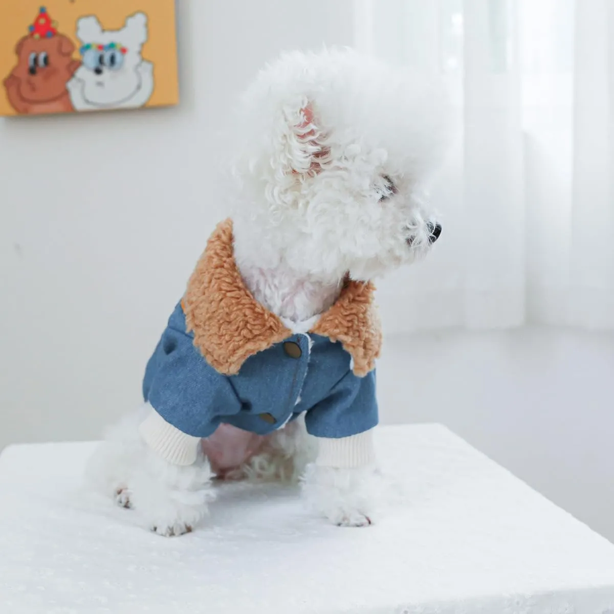 Dog Fleece Lined Jean Jacket Winter Puppy Stylish Cute Clothes Lightweight Warm Small Dog Denim Coat Chihuahua Yorkie Thick Jacket Christmas Holiday Birthday Dog Clothes for Small Dogs