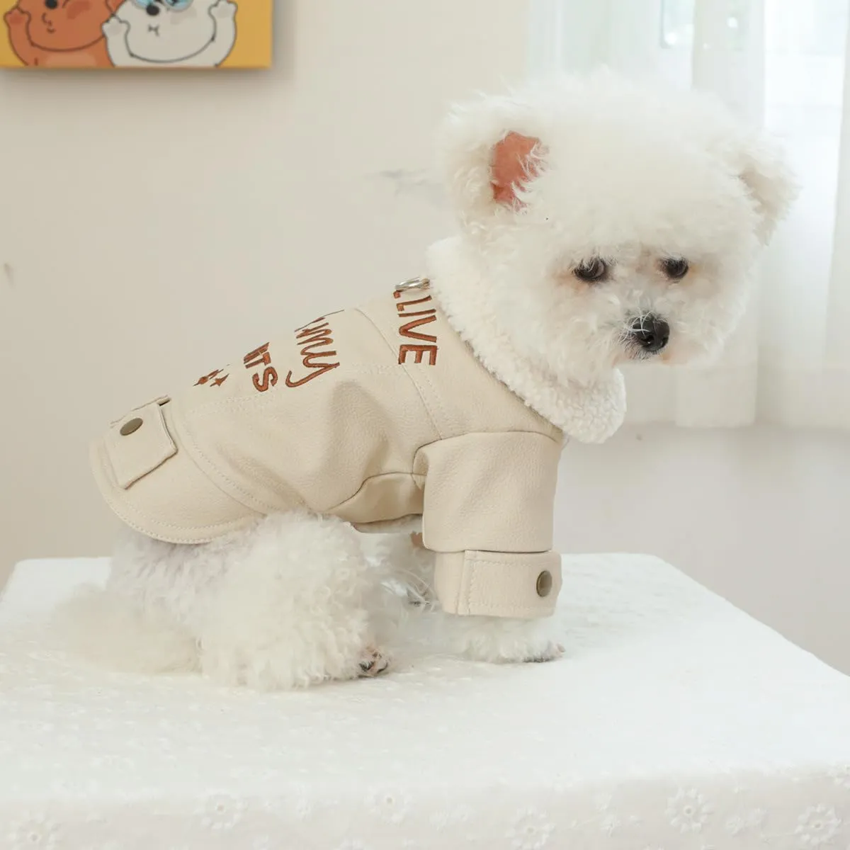 Dog Fleece Lined Jean Jacket Winter Puppy Stylish Cute Clothes Lightweight Warm Small Dog Denim Coat Chihuahua Yorkie Thick Jacket Christmas Holiday Birthday Dog Clothes for Small Dogs