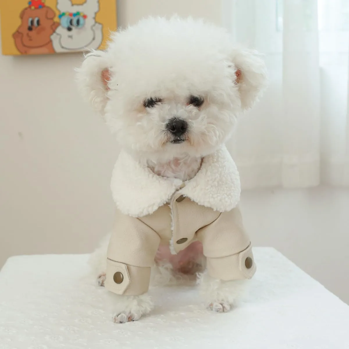 Dog Fleece Lined Jean Jacket Winter Puppy Stylish Cute Clothes Lightweight Warm Small Dog Denim Coat Chihuahua Yorkie Thick Jacket Christmas Holiday Birthday Dog Clothes for Small Dogs