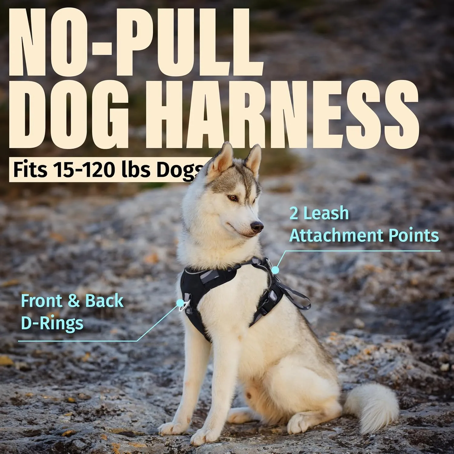 Dog Harness No-Pull with Front & Back D-Rings, Water-Repellent 600D Oxford for Hiking/Training/Walks, Reflective Adjustable Vest, Lightweight Aluminum Hardware Fit for Large Sized Dogs, Camo Black, L
