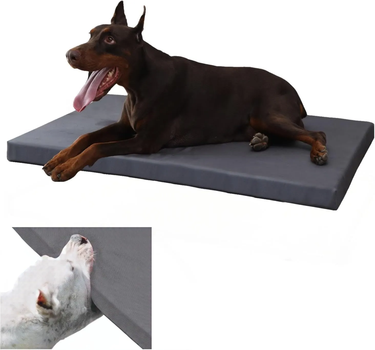 Durable Outdoor Dog Bed Chew Proof Waterproof Anti Mild Bite Crate Mat Indoor Stable Kennel Pad Mat with Removable Washable Cover Crate Pad with Crate Foam up to 35 Ibs (Medium(30x19x1.5))