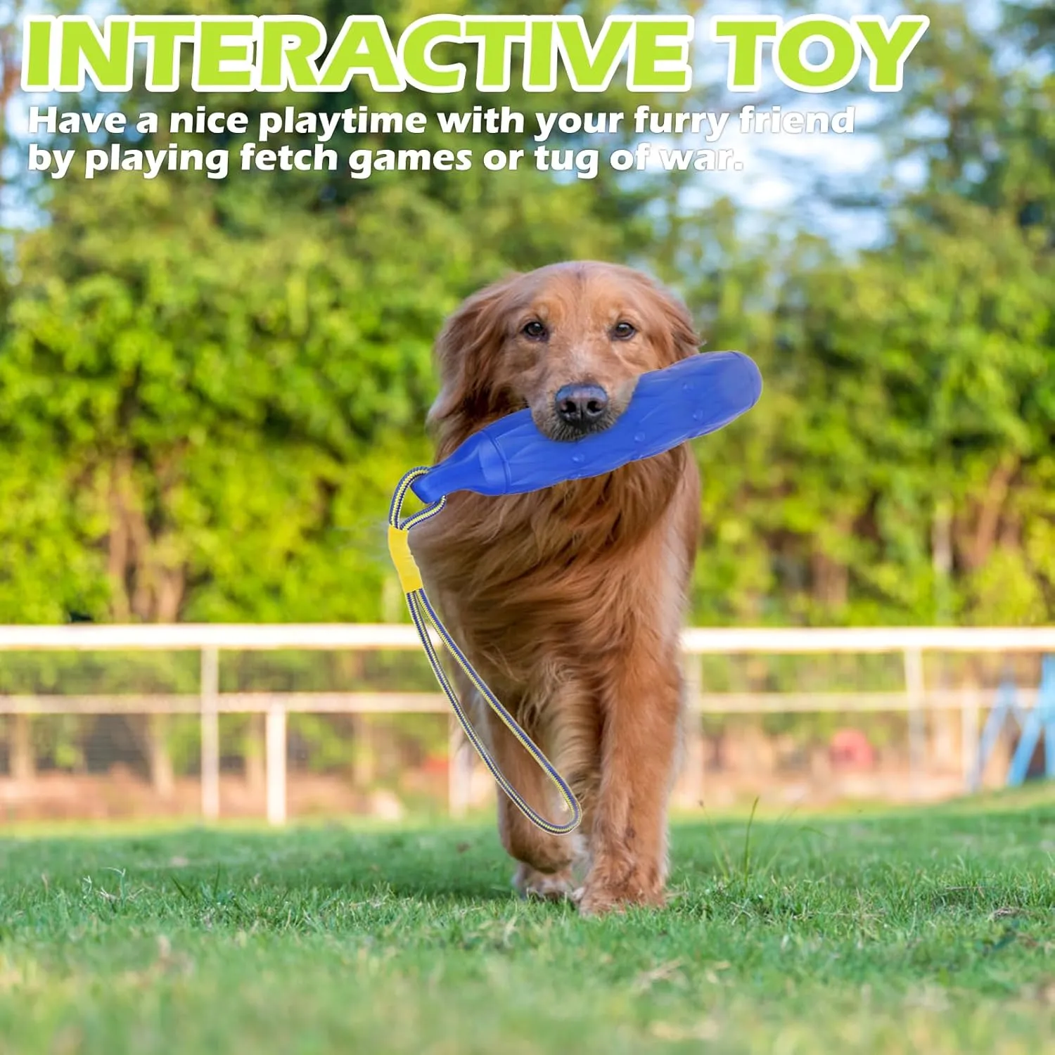 EXPAWLORER Dog Water Toys - Floating Dog Toys for Water Fetch, Stick Bumpers for Pool Lake Beach Chase, Interactive Summer Puppy Enrichment Essentials Outdoor, Chew-Safe for Non-Aggressive Breeds