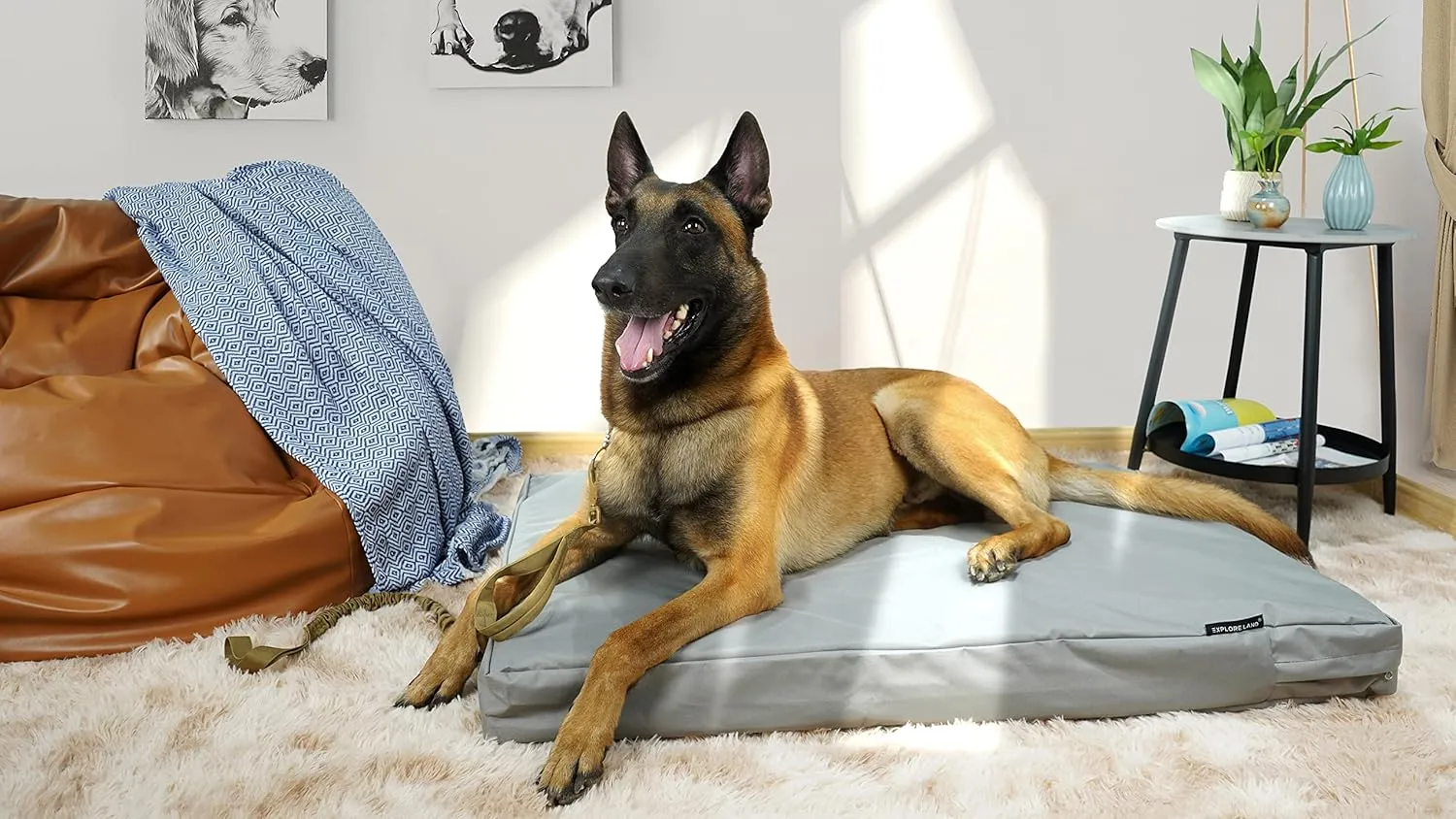 Explore Land Waterproof Dog Bed Cover Canvas Washable Dog Crate Pad Replacement Cover for 30 Inch Crate, 29Lx18Wx3.5H inch, Gray