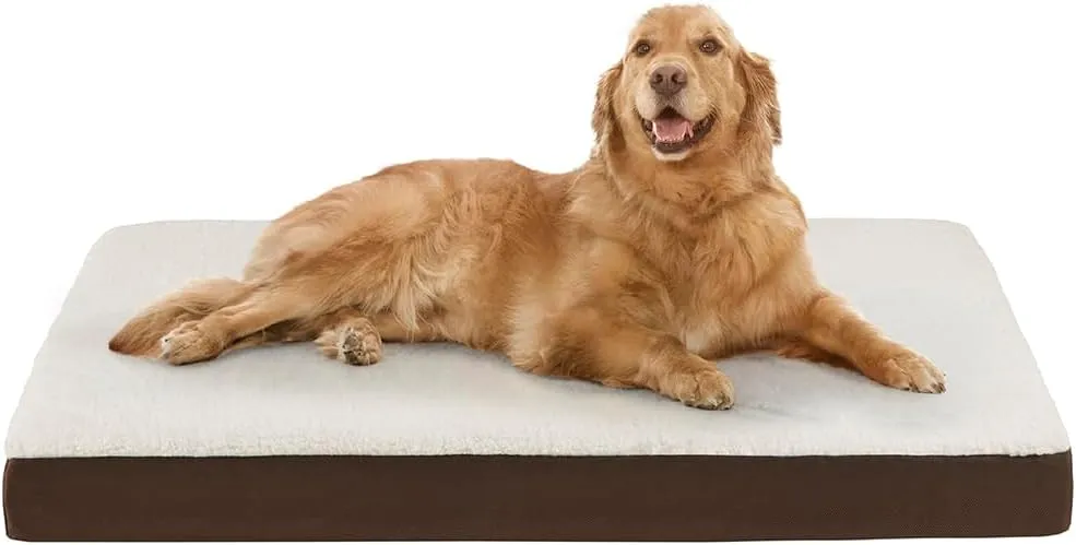 Friends Forever Orthopedic Dog Bed, Cooling Dog Beds with Removable Washable Cover, Reversible Pet Bed Mat with Memory Foam, Washable Removable Cover, Kato Khaki, 44x32x3.5