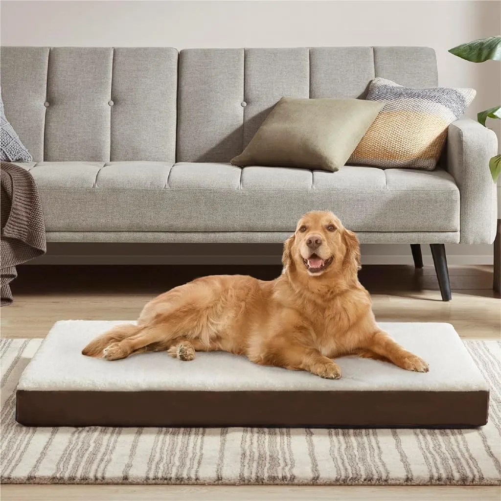 Friends Forever Orthopedic Dog Bed, Cooling Dog Beds with Removable Washable Cover, Reversible Pet Bed Mat with Memory Foam, Washable Removable Cover, Kato Khaki, 44x32x3.5