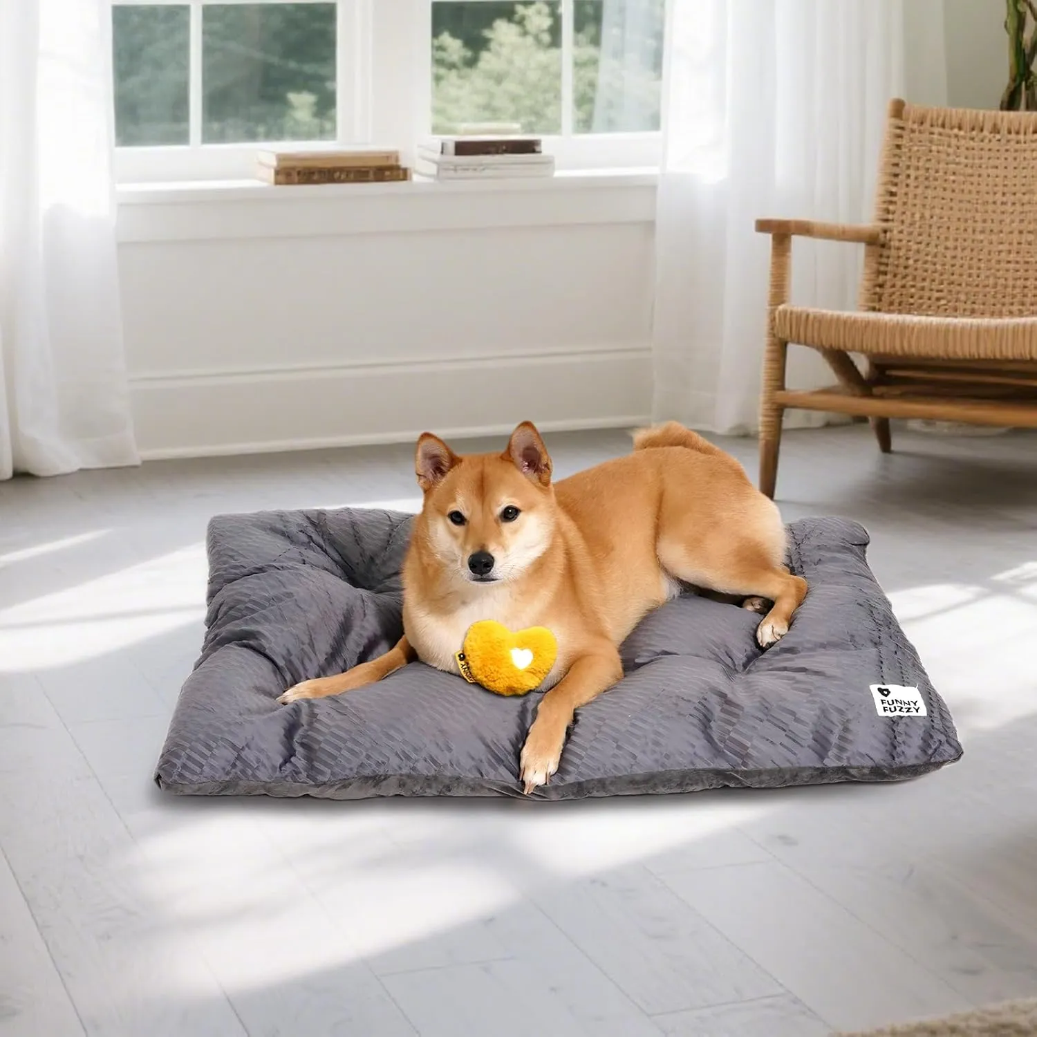 FUNNY FUZZY Washable Dog Bed,Reversible Plush Dog Crate Mat, Soft Fluffy Kennel Pad,Pet Sleeping Mattress for X-Large,Large,Jumbo,Medium Sized Dogs Breeds,Indoor Cats,35.4"  22.8", Charcoal Grey