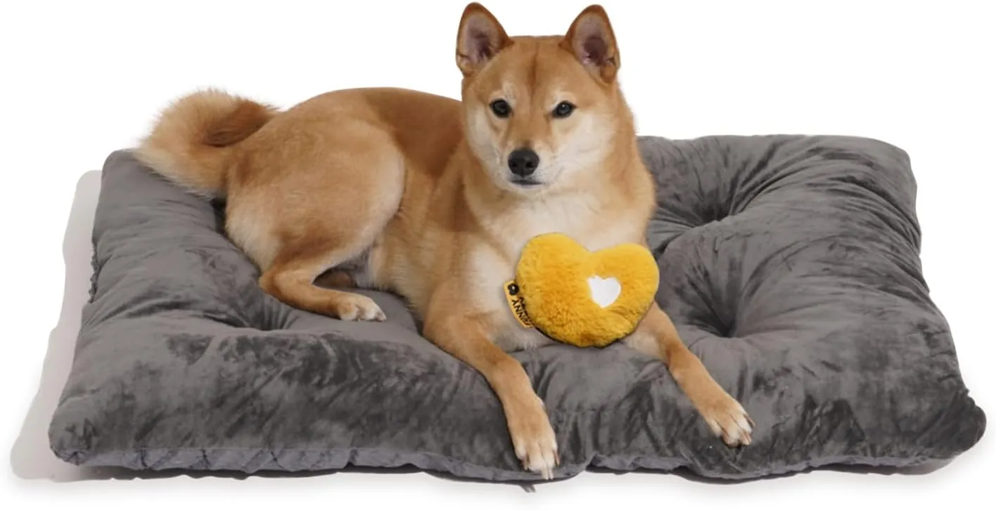 FUNNY FUZZY Washable Dog Bed,Reversible Plush Dog Crate Mat, Soft Fluffy Kennel Pad,Pet Sleeping Mattress for X-Large,Large,Jumbo,Medium Sized Dogs Breeds,Indoor Cats,35.4"  22.8", Charcoal Grey