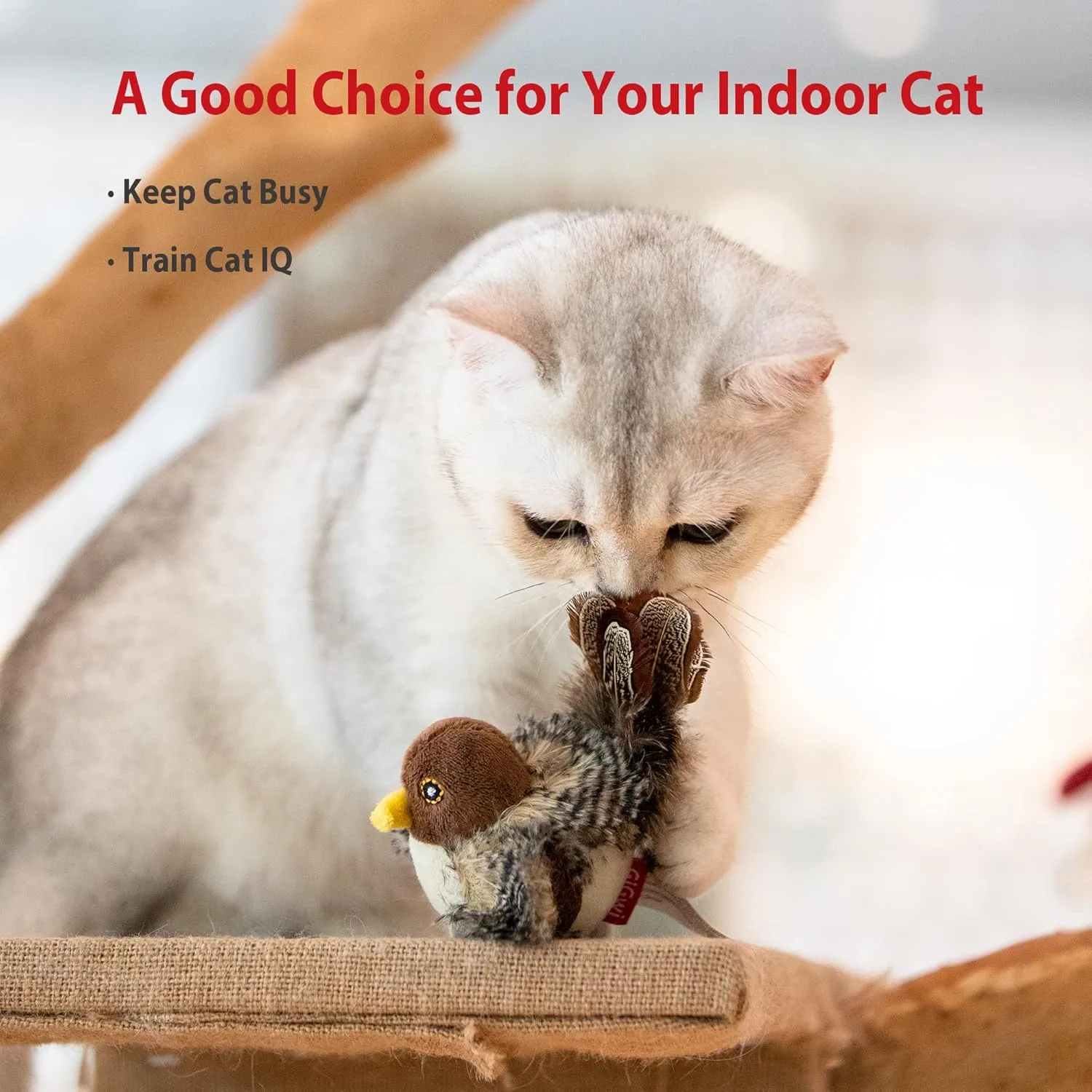 Gigwi Chirping Bird Cat Toy Set, Interactive Chasing Toy for Indoor Cat, Motion Activated Kitten Play Toy, Squeaky Cat Animal Feather Toy for All Breeds Cat Kicker