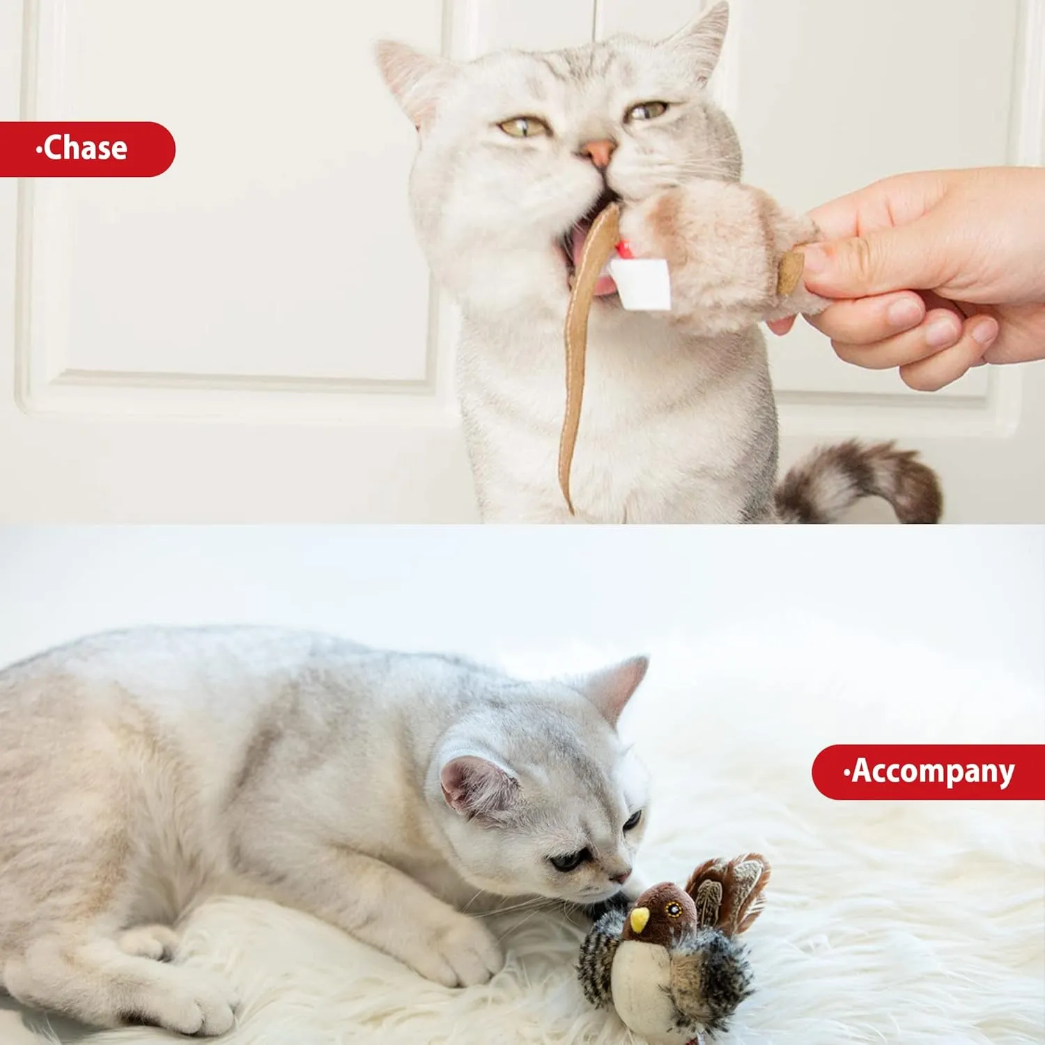 Gigwi Chirping Bird Cat Toy Set, Interactive Chasing Toy for Indoor Cat, Motion Activated Kitten Play Toy, Squeaky Cat Animal Feather Toy for All Breeds Cat Kicker
