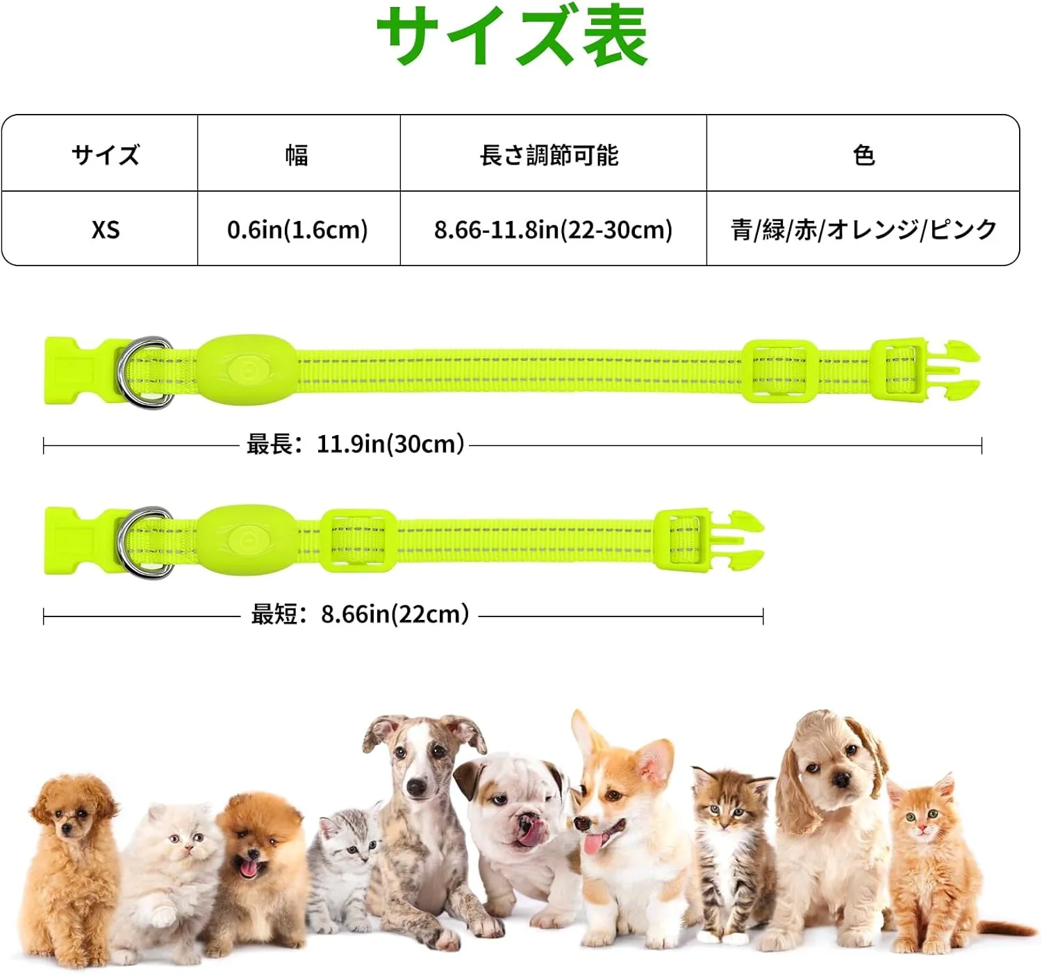 illumifun LED Dog Collar for Puppy, USB Rechargeable Light Up Collar, Lightweight Nylon Glowing Dog Collar for Your Small Pups& Cats (Green, X-Small)