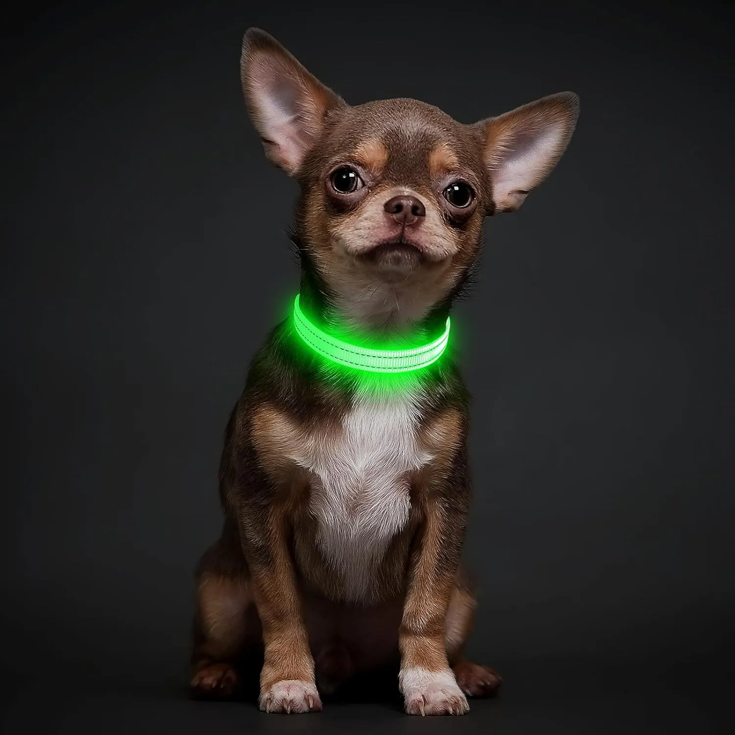 illumifun LED Dog Collar for Puppy, USB Rechargeable Light Up Collar, Lightweight Nylon Glowing Dog Collar for Your Small Pups& Cats (Green, X-Small)