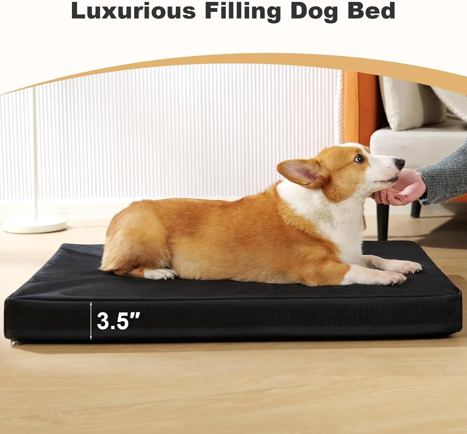 Indestructible Pet Bed - Memory Foam Dog Kennel Pad for Small Dogs & Cats, Waterproof Durable Oxford Fabric Puppy Bed with Removable Washable Cover & Non-Slip Bottom, 20"x15"x3", Black