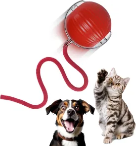 Interactive Cat Toys for Indoor Cats,Automatic Cat/Kitten Toys for Bored Indoor Adult Cats,Motion Activated