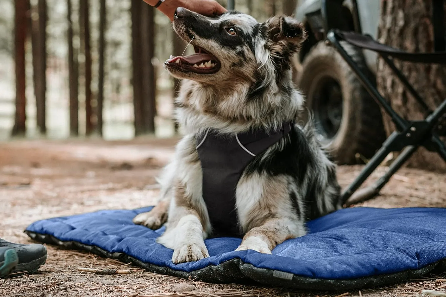 K9 Ballistics Tough Ripstop Dog Crate Pad - Durable & Machine Washable with Non-Skid Bottom and 120-Day Warranty, Fits 36" Wire Crates - Medium, Sandstone