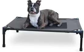 K&H Pet Products Outdoor Elevated Dog Cot, Breathable Cooling Elevated Cot Hammock Pet Bed for Medium Dogs, Washable Mesh Cover, Raised Metal Frame, Collapsible, Portable - Medium 32 X 25in Charcoal