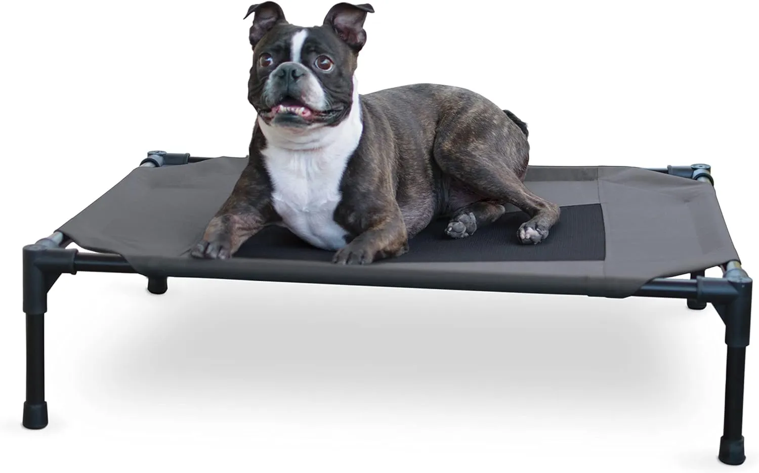 K&H Pet Products Outdoor Elevated Dog Cot, Breathable Cooling Elevated Cot Hammock Pet Bed for Medium Dogs, Washable Mesh Cover, Raised Metal Frame, Collapsible, Portable - Medium 32 X 25in Charcoal