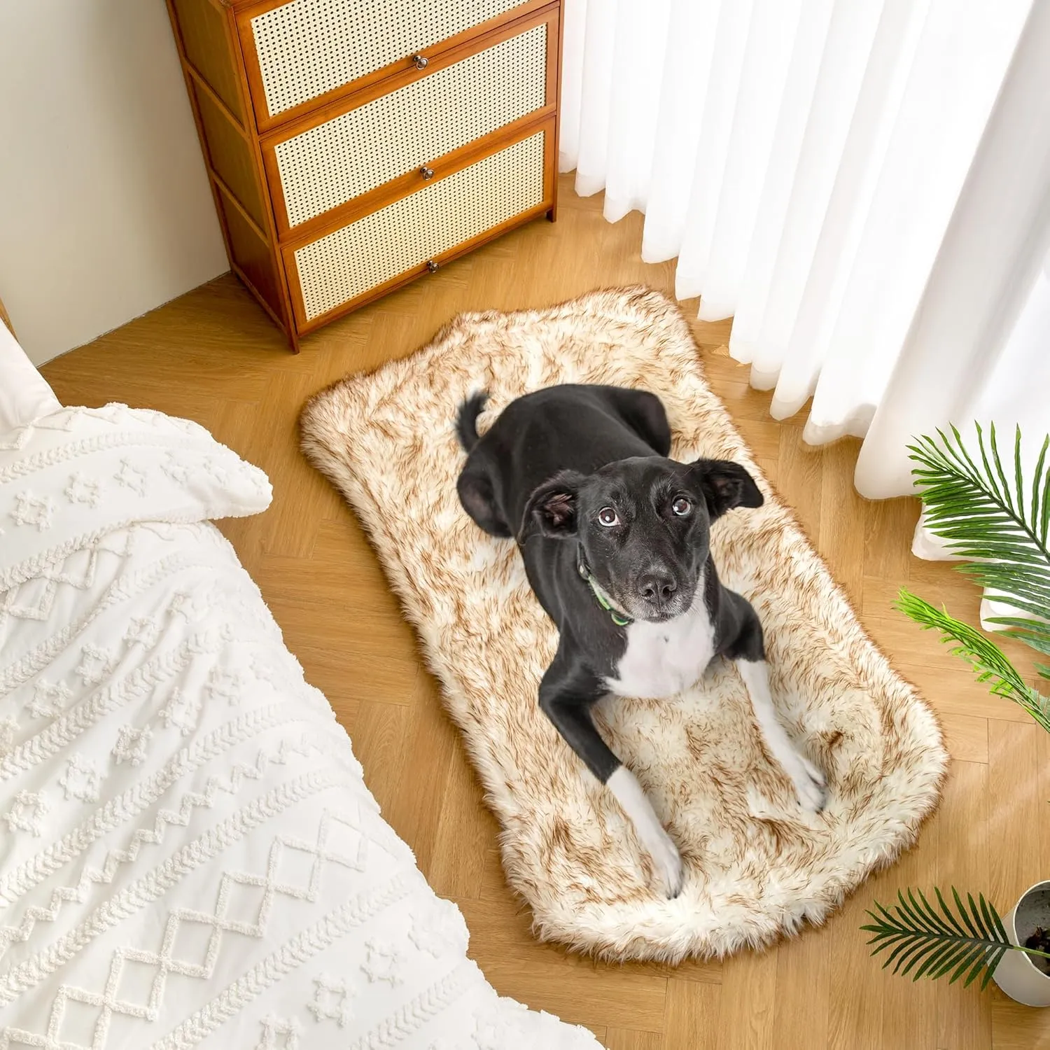 KOOPRO Faux Fur Memory Foam Fluffy Dog Bed, Luxury Pup Rug Waterproof Dog Blanket, Removable Washable Fluffy Plush Cover, Anti Slip Base, Modern (Large, White with Brown Tips)