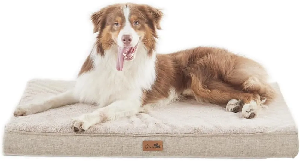 Large Dog Bed Memory Foam Orthopedic Dog Bed Washable 36 * 27 in
